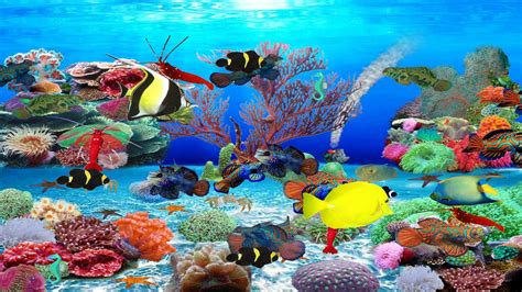 aquarium screensavers|aquarium screensavers for windows 10.